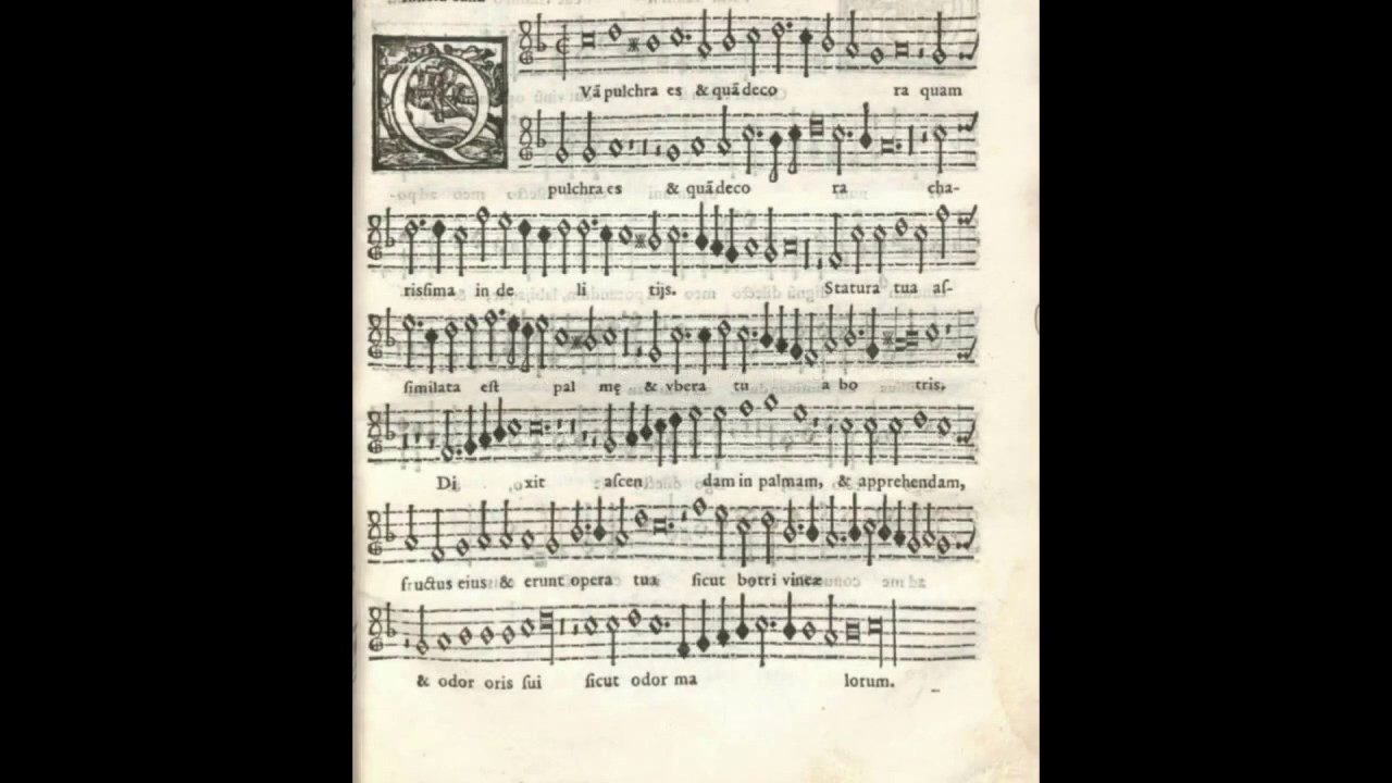 Palestrina: Quam pulchra es