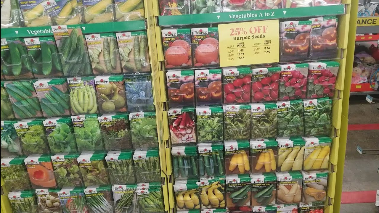 How to buy fruit trees in a bag|seed sale at Tractor supply