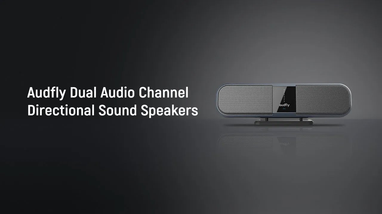 Introducing Directional Speaker X2: See and Hear the Difference