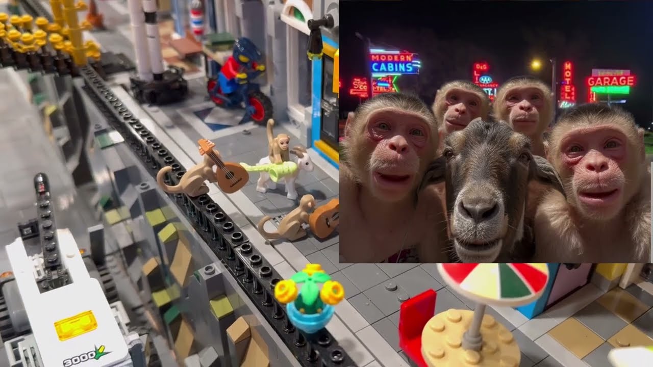 LEGO city: monkeys and a goat on the run just like in St. Louis! LEGO City tour looking for them 