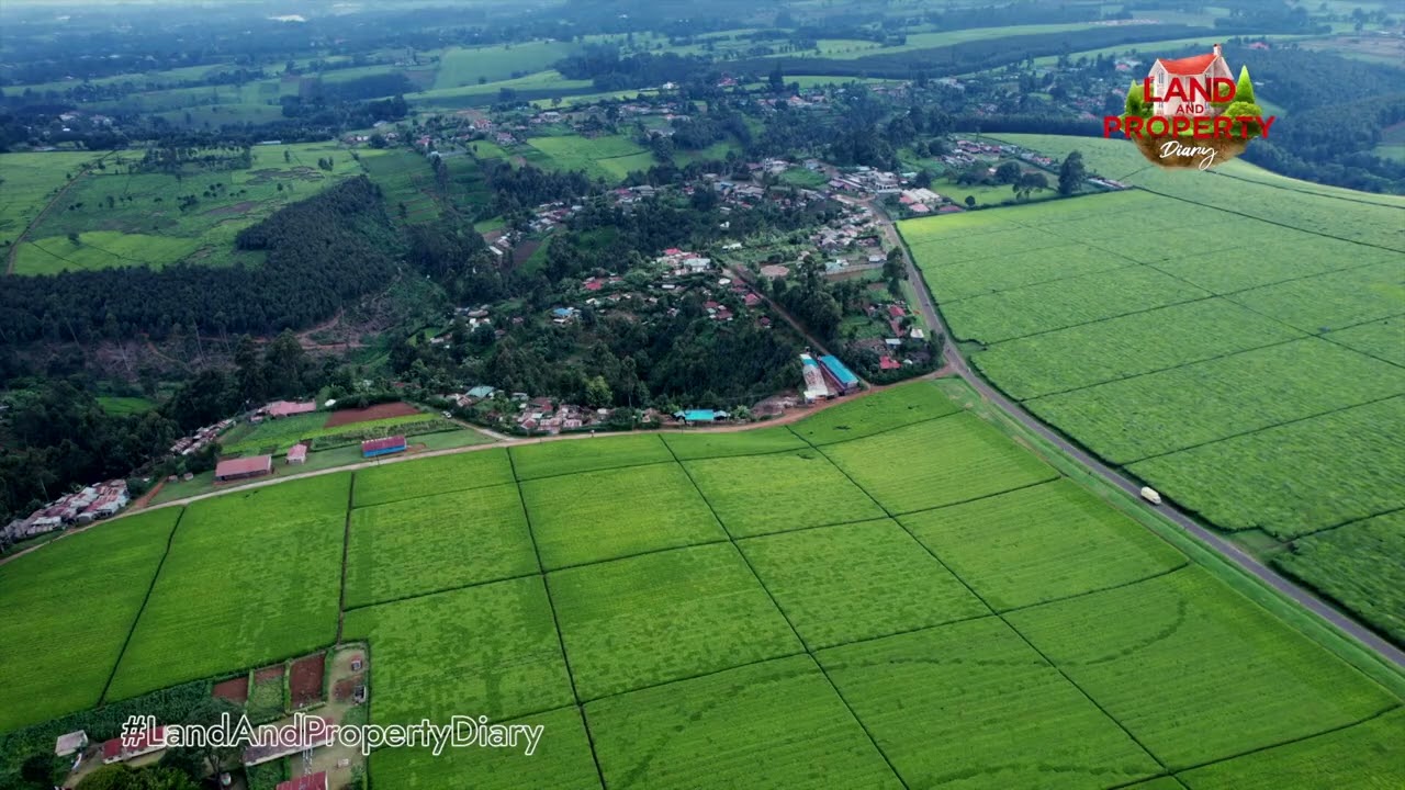 Limuru : Kenya's quietly growing town