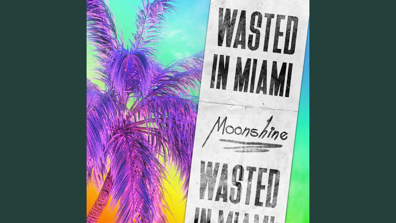 Wasted in Miami