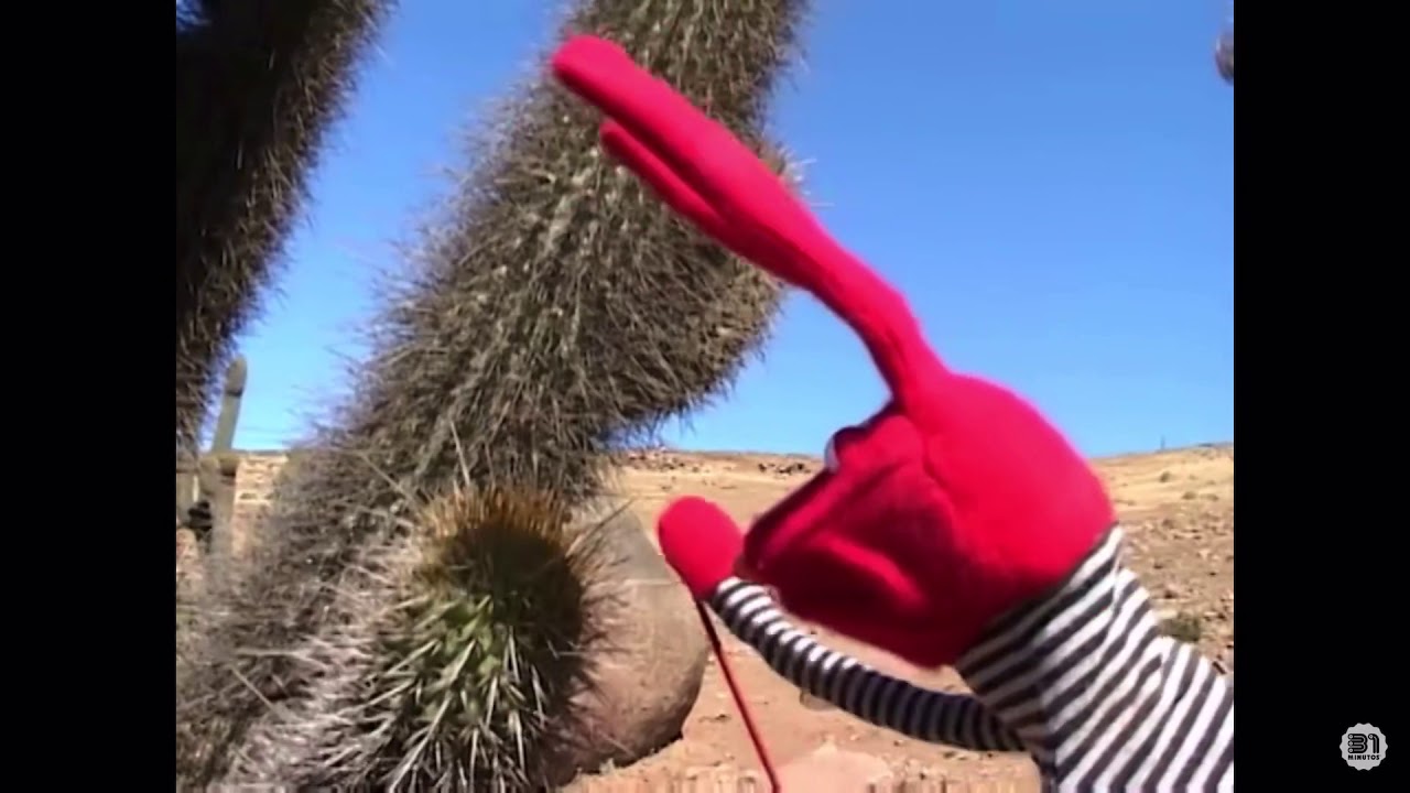 We see here a red puppet who has touched a cactus with his hands