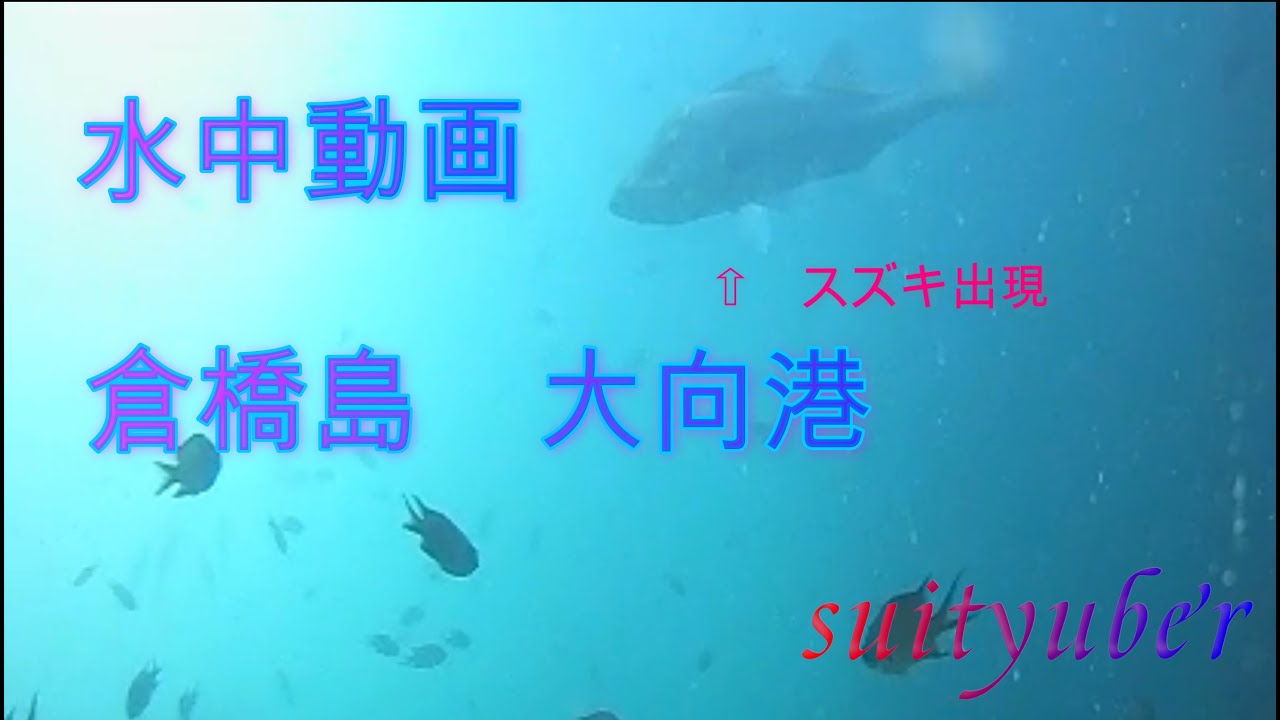 釣り人目線の水中動画　倉橋島・大向港