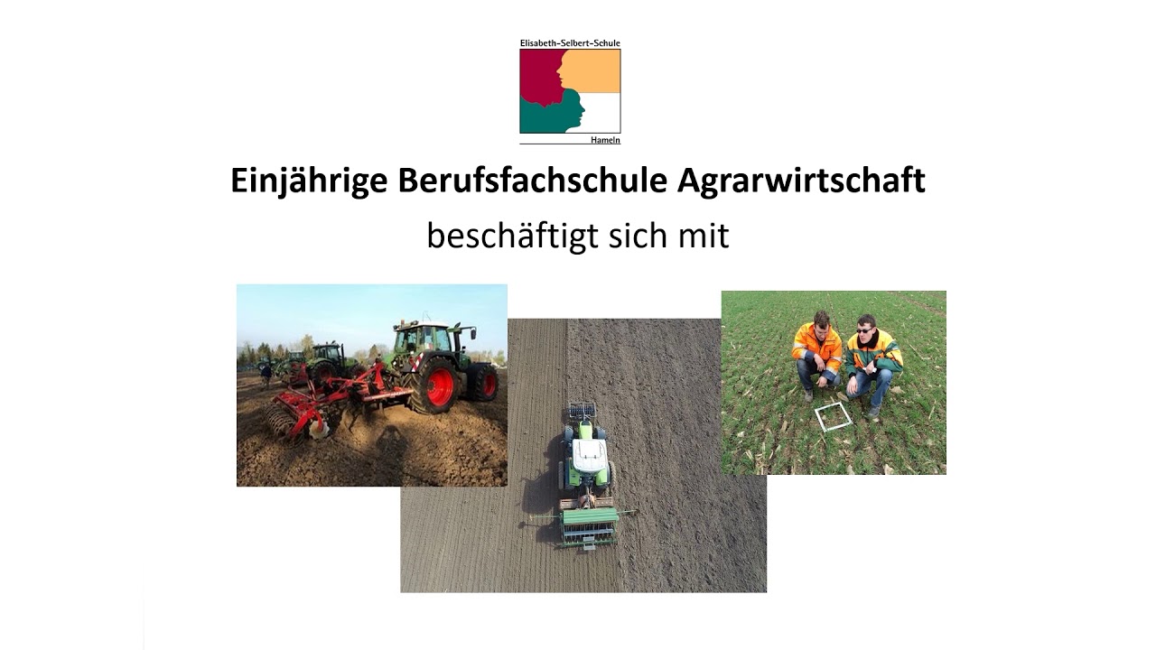 Vortrag BFS 1