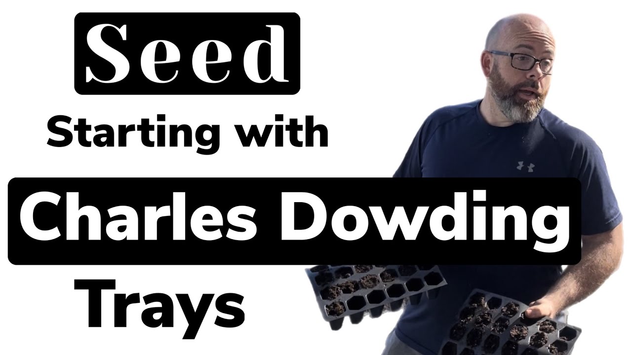 Indestructible Charles Dowding Seed Trays! Grow Better Seedlings!