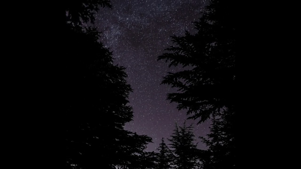 system of a down - aerials (slowed + reverb)