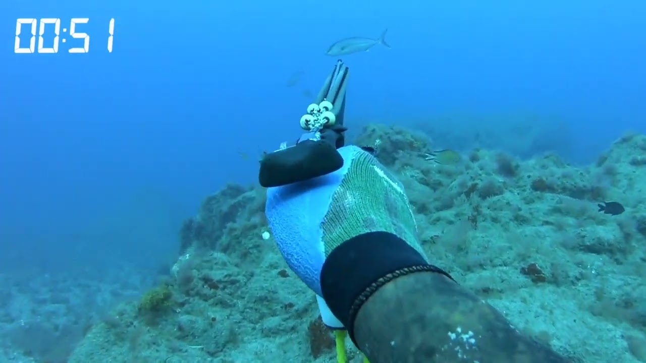 Pesca Submarina en Tenerife. Abril 2024. (Spearfishing)
