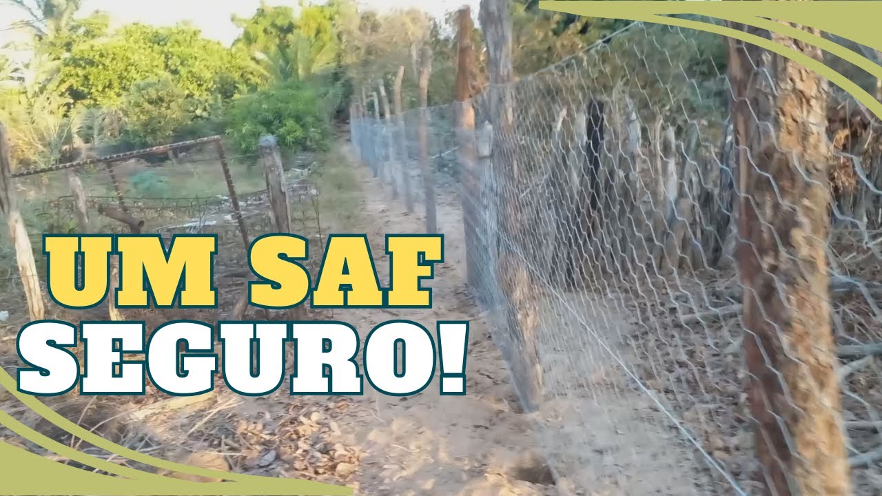 Cercando o terreno - parte 2