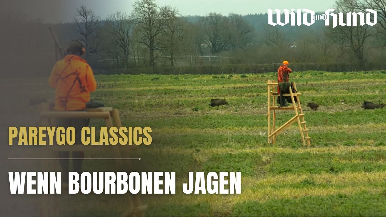 Wenn Bourbonen jagen – PareyGo Classics