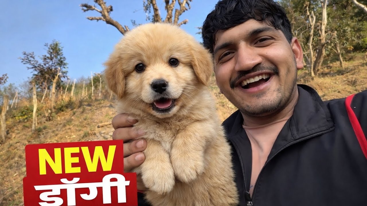 Gaon Me Aayi New dog  🐶 | Hamari Nayi Doggy Ka Welcome | Village Life Vlog 