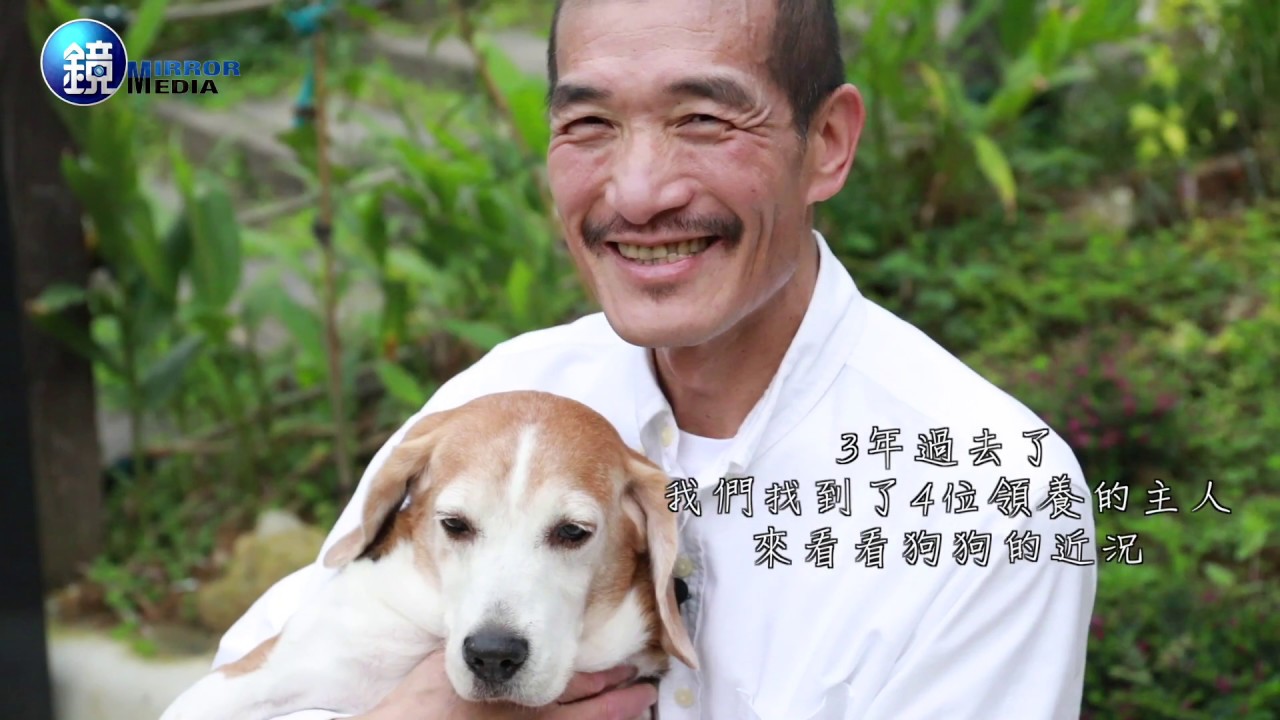 鏡週刊 鏡相人間》實驗犬悲歌 與牠相遇 我很快樂