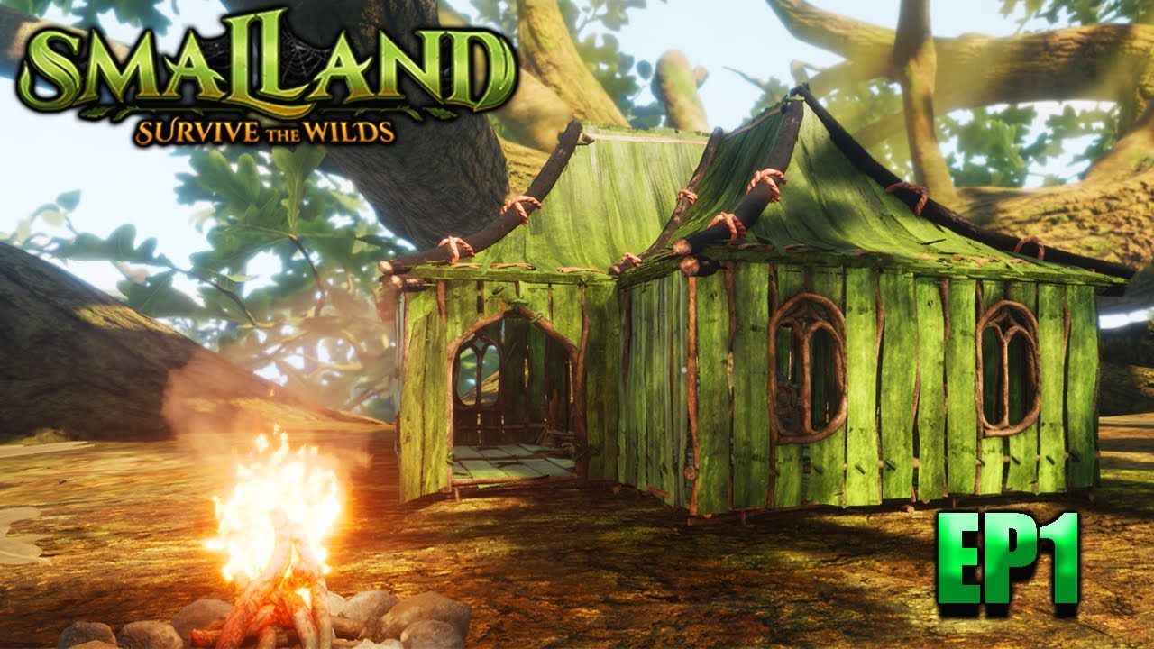 Smallands Journey Begins: Building Our New House EP1