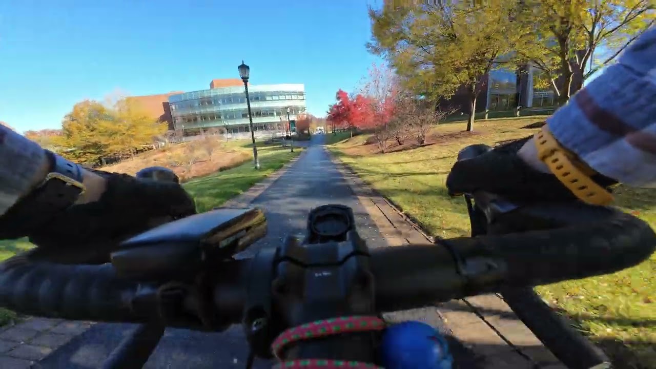 Lake Roland Run Nov 8th