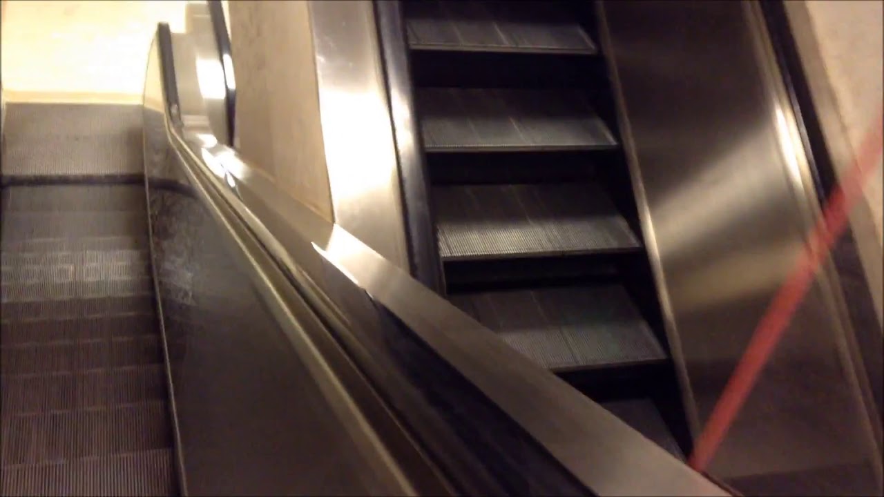 Department Store Escalators 2