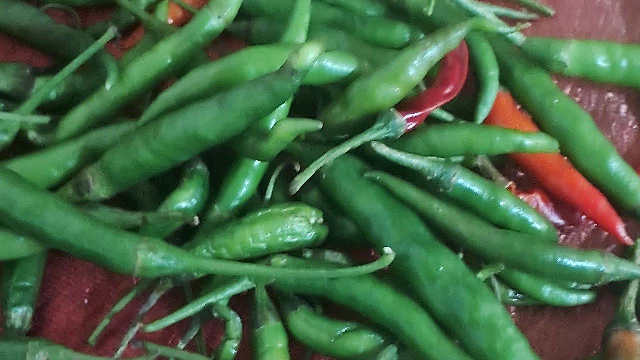13 Ramadan recipe live#youtube live#sonivlog#