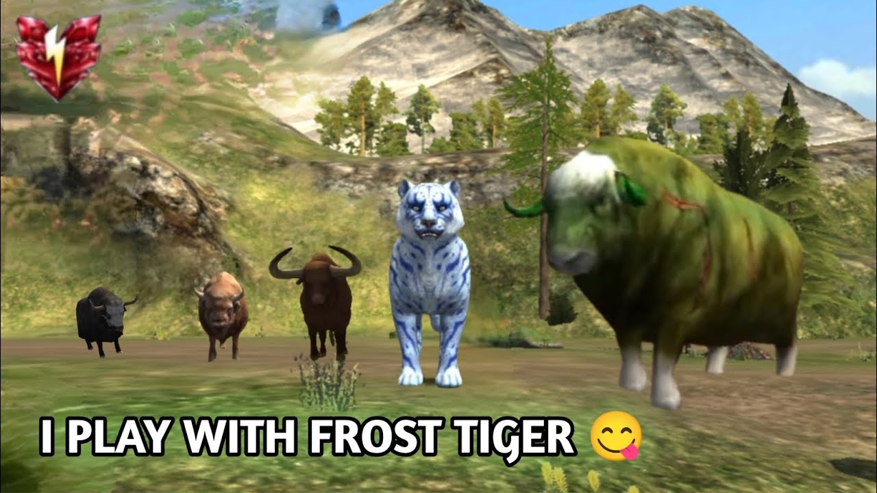The Tiger - I PLAY WITH FROST TIGER