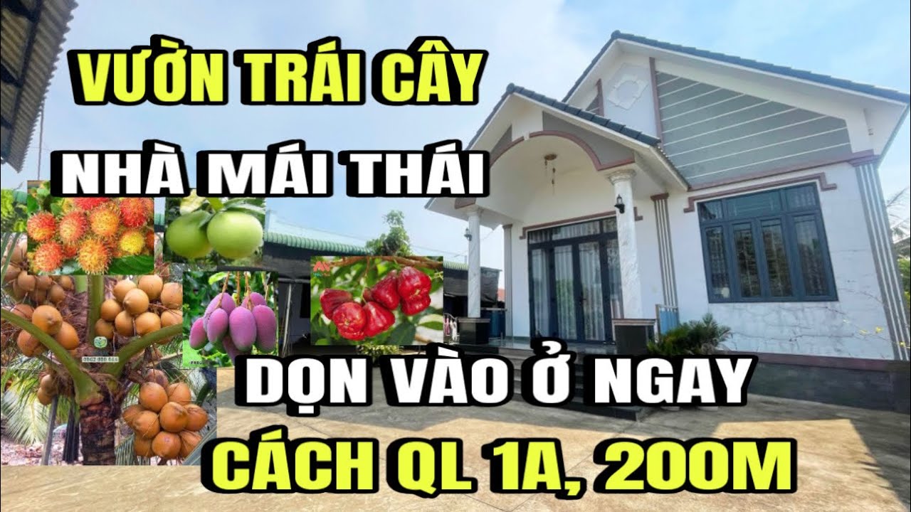 Chị Thảo tình cảnh khó khăn, bán gấp nhà vườn trái cây, 2MT, Sát quốc lộ 1A, Huyện Xuân lộc cũ