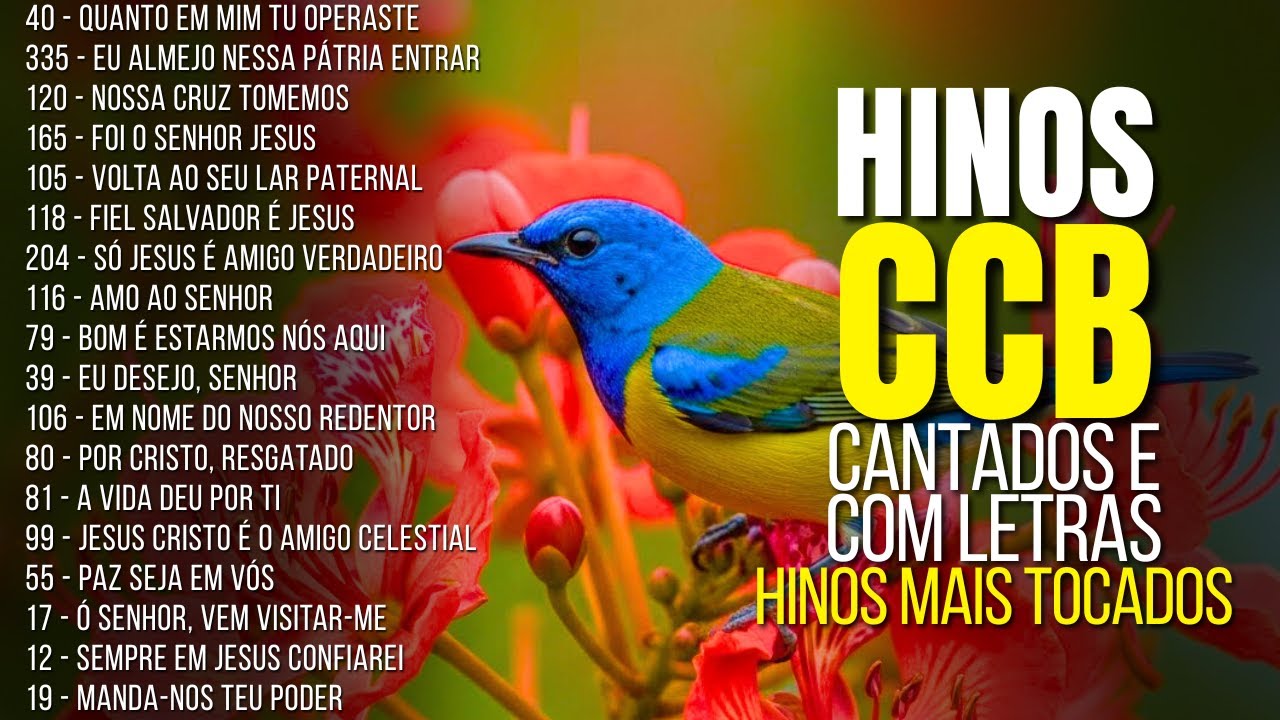 🙏 HINOS CCB PARA QUEM BUSCA REFRIGÉRIO 🌾 LOUVORES QUE CONFORTAM E TRAZEM PAZ INTERIOR 🎶