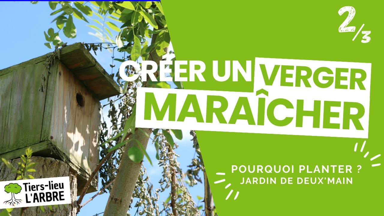 Créer un VERGER MARAÎCHER - Jardin de deux'main 2/3