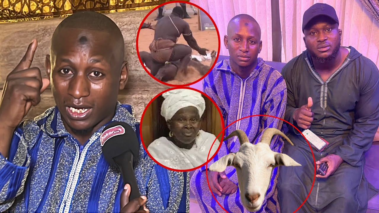 L&rsquo;ami intime de Modou lo d&eacute;masque les faux marabouts dagno sarakh&eacute; Modou gno ko diay si combat