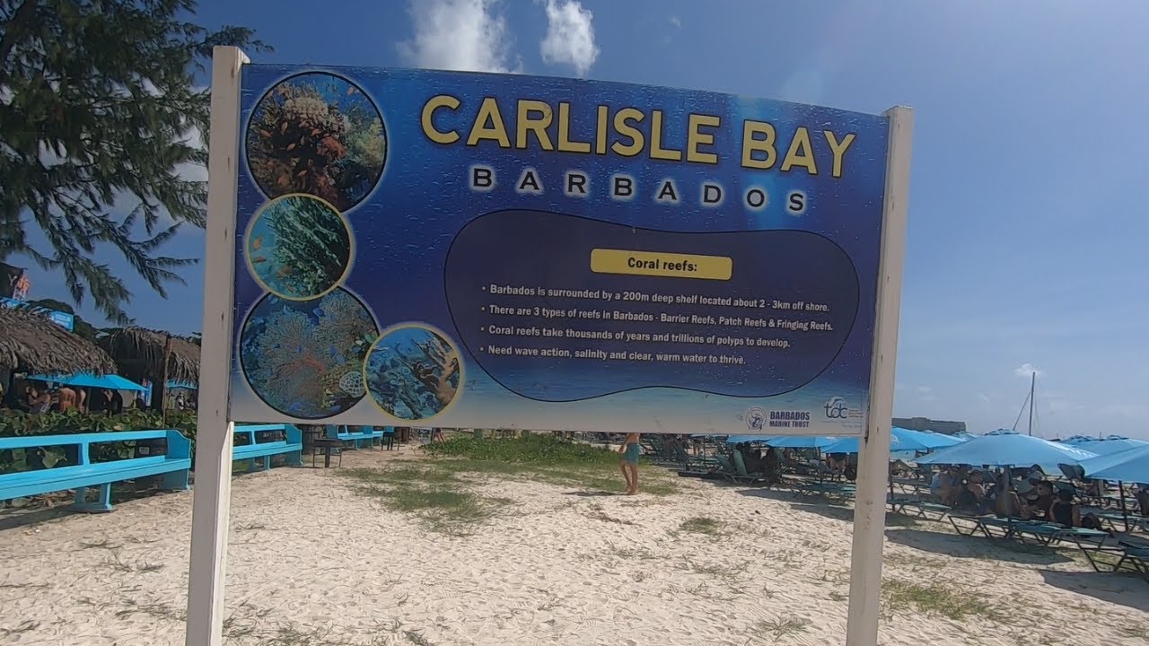 Barbados Bridgetown | Savvy On The Bay - CARLISLE BAY