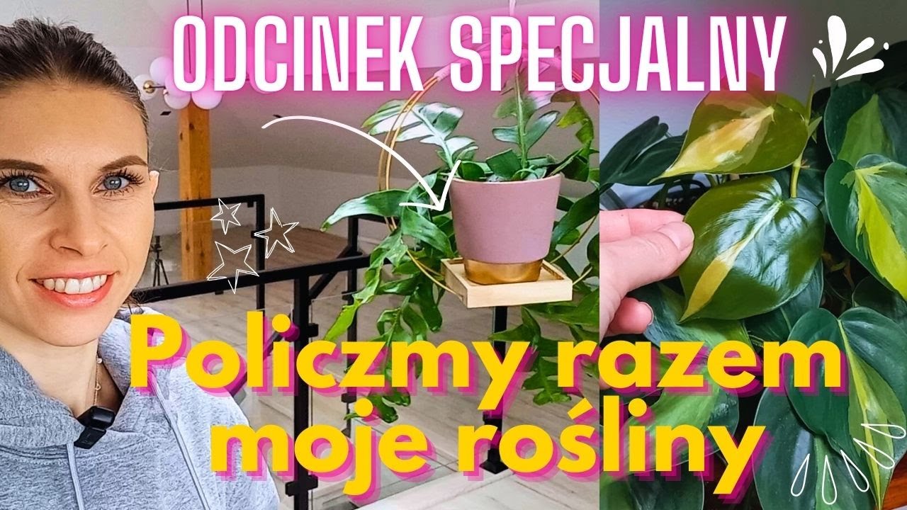 Liczymy! Wszystkie moje rośliny | Ile ich mam?