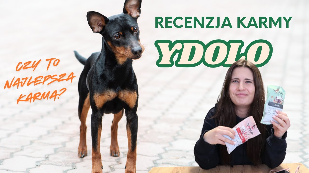 RECENZJA karmy Ydolo - Czy to najlepsza karma na świecie?