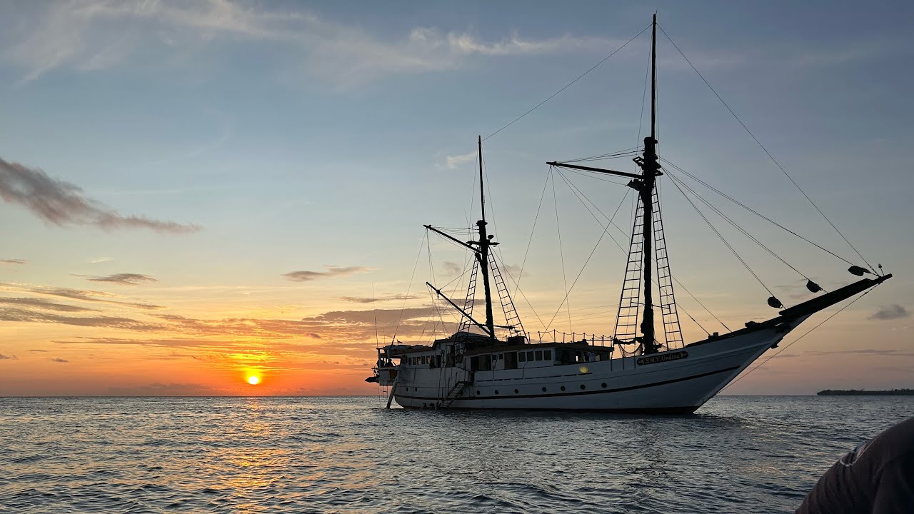Indonesia 2024: SMY Ondina Liveaboard- Raja Ampat to Kai Islands and Bonus Bali-Tulamben