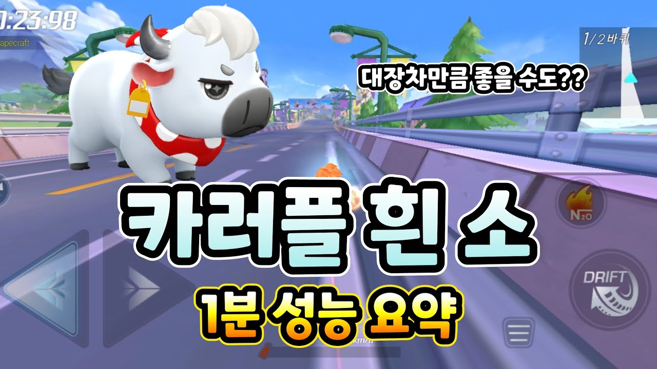 카러플 흰소 1분 성능 요약