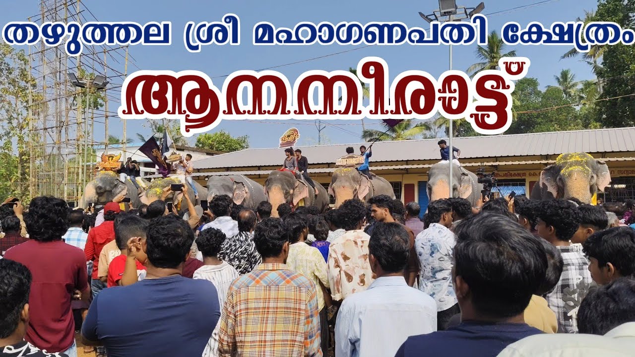 ആന നീരാട്ട്.#ulsavam #ananeerattu#krcreate 