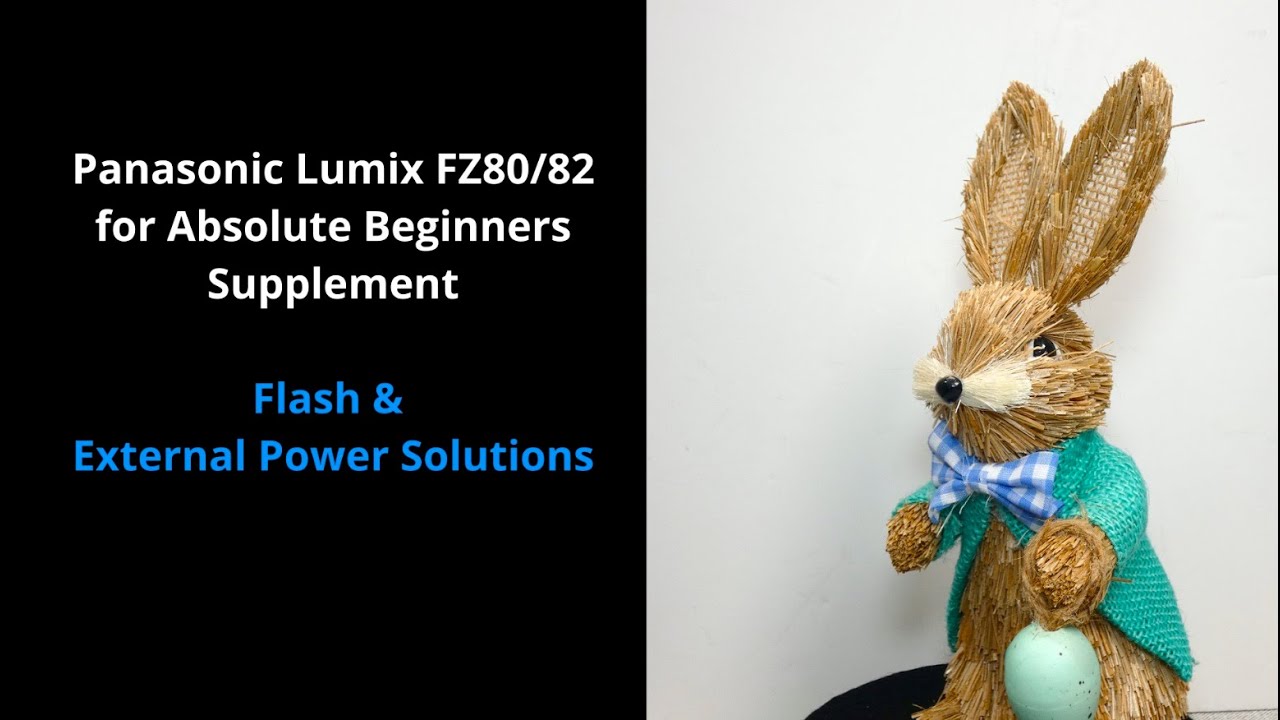 Panasonic Lumix FZ80/82 For Absolute Beginners: Supplement