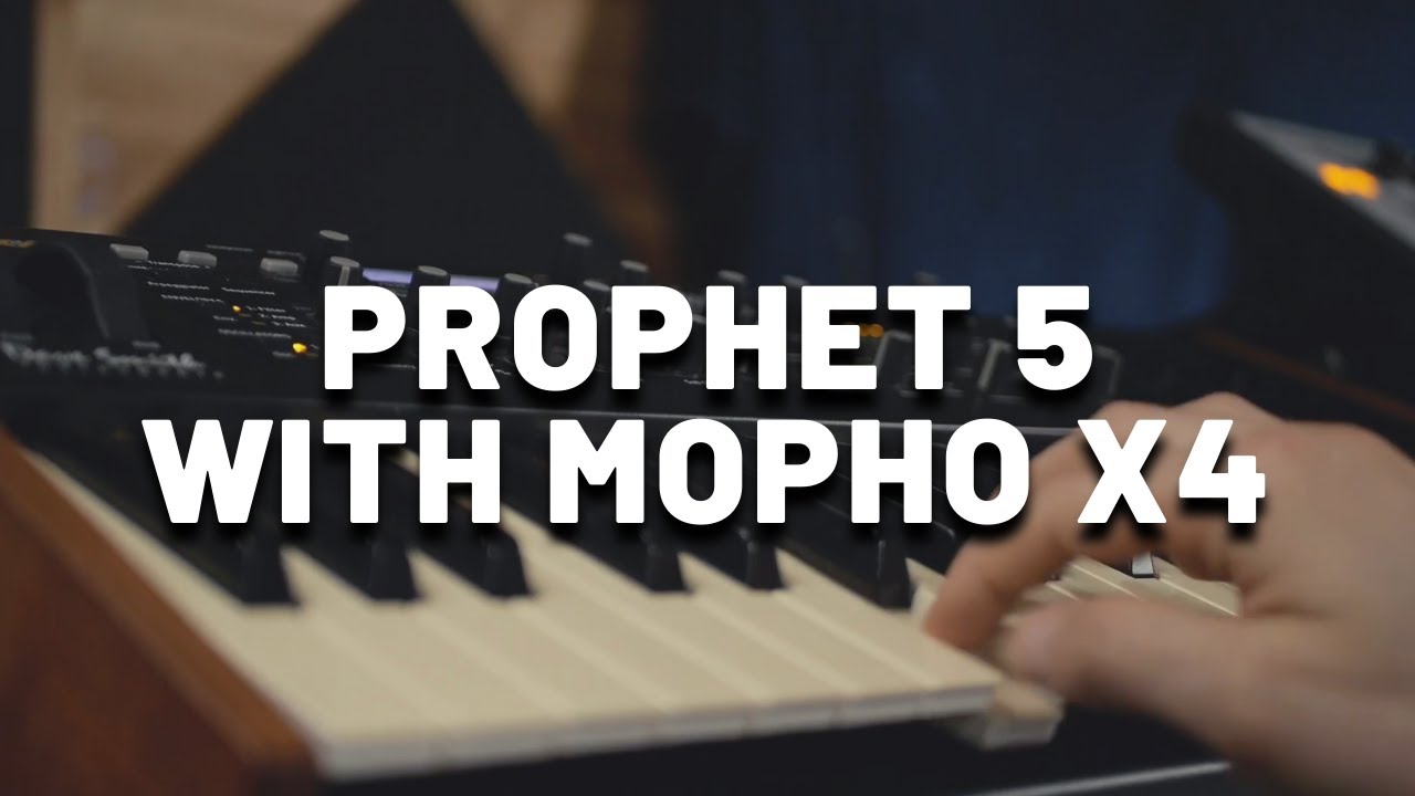 Prophet-5 Sounds with Dave Smith Mopho x4 | Analog Synth Demo (No Talking)