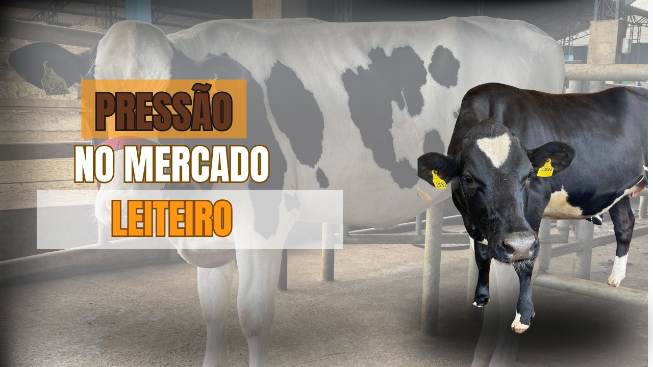 O MERCADO REAGIU AO DEBATES DOS PRODUTORES ?