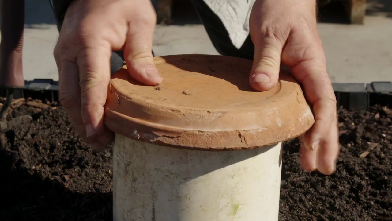 Ask Angus: How to Build A Worm Tower In the Vegepod