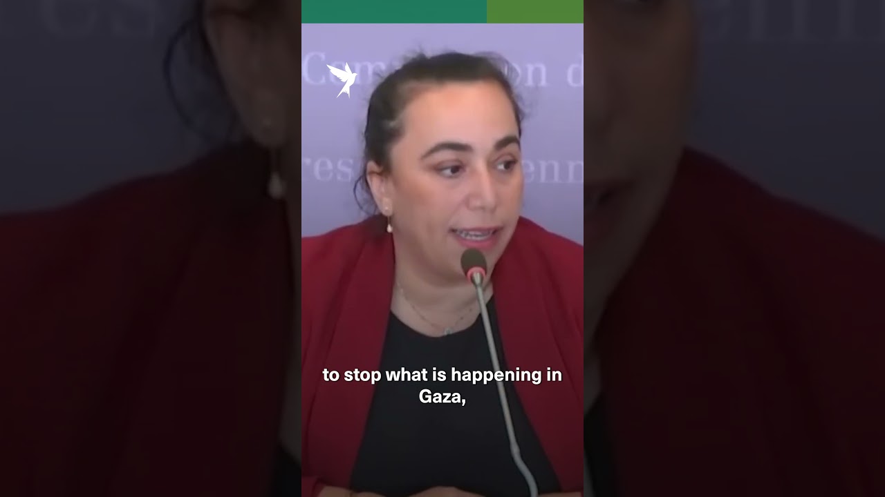 French MP slams rejection of EU-Israel suspension