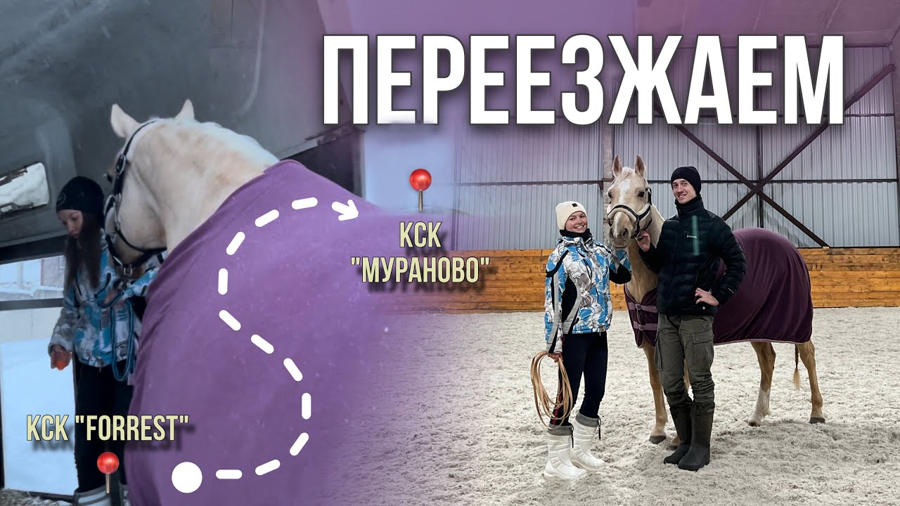 МЕНЯЕМ КОНЮШНЮ | Переезд | Влог + обзор