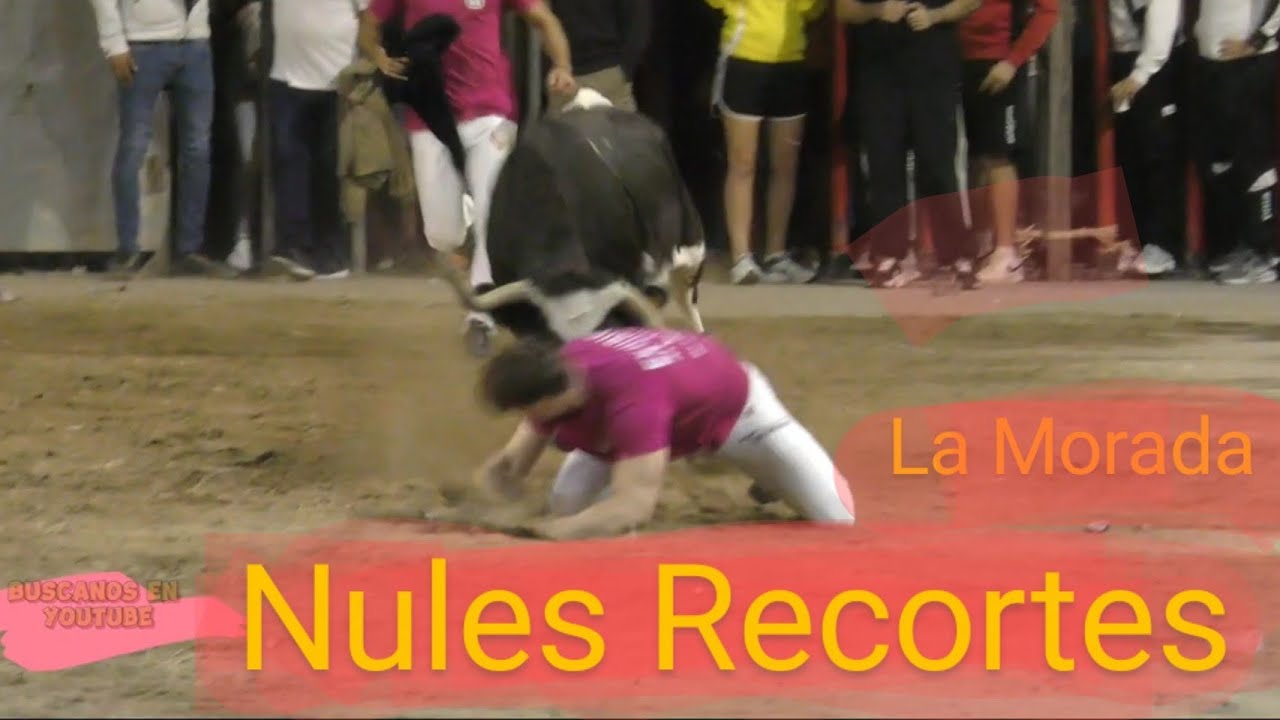 Recortes en Nules - Octubre 2024 -  😲 Top✔️
