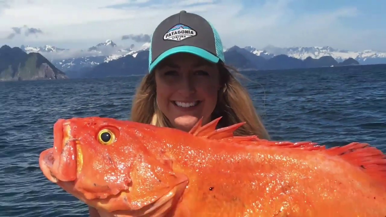 Seward Alaska Halibut & Rockfish Combo Fishing in June at Jimmie Jack's Alaska Lodges