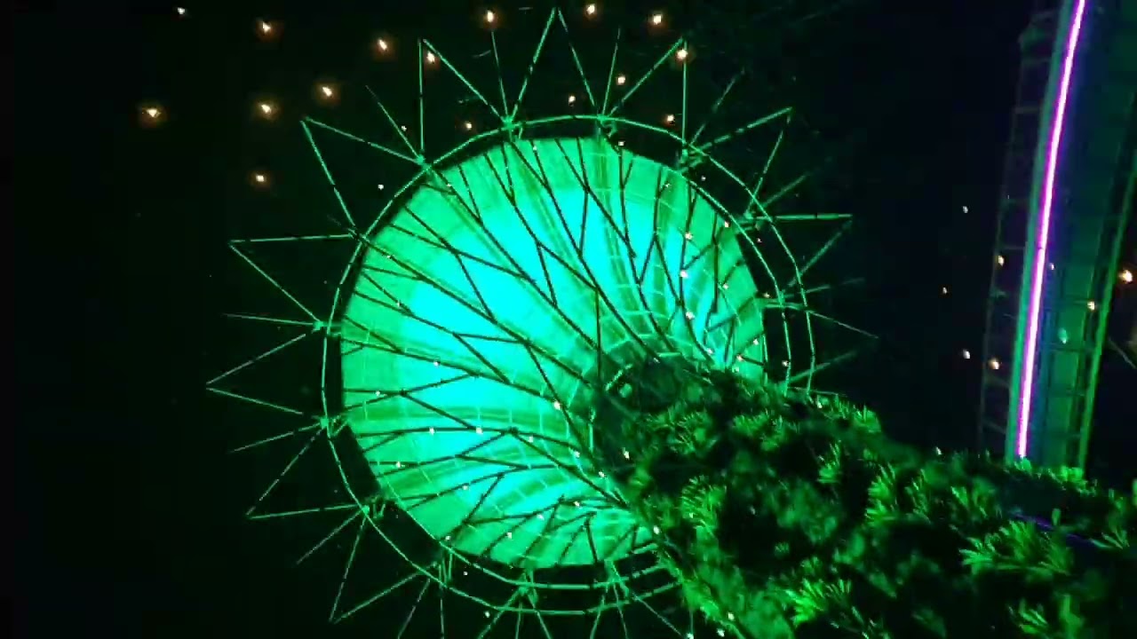 Supertree Observatory - Gardens by the bay - light show - Singapore