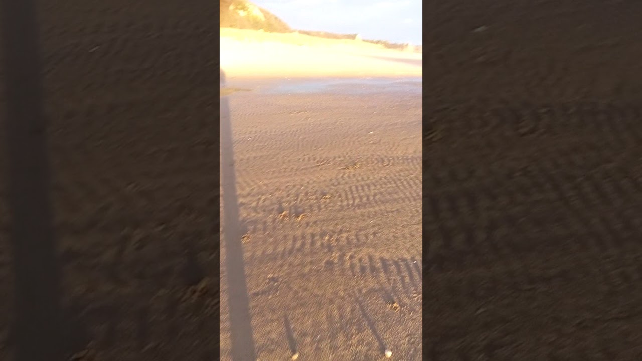 Oxwich 5