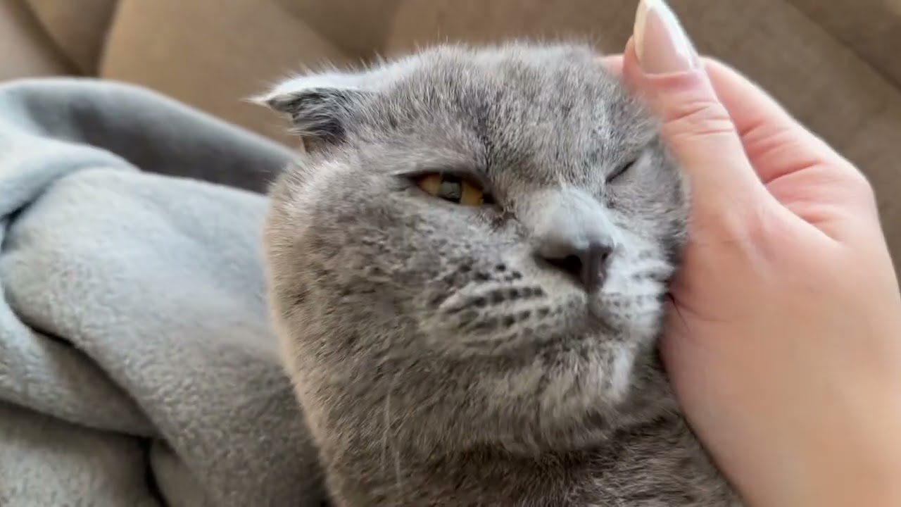 Good morning grey 🫶🏻