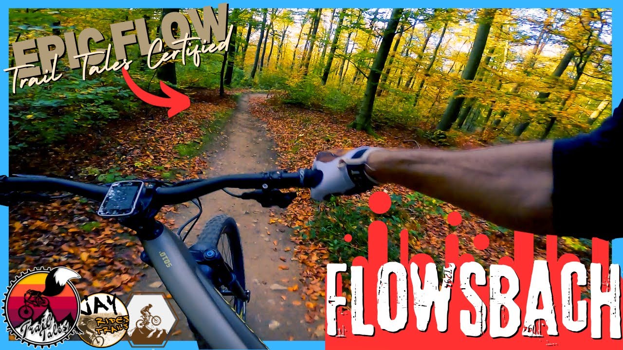 G'Hupft wie G'Sprunge - Full Run // Flowtrail Mosbach // Santa Cruz 5010 v5