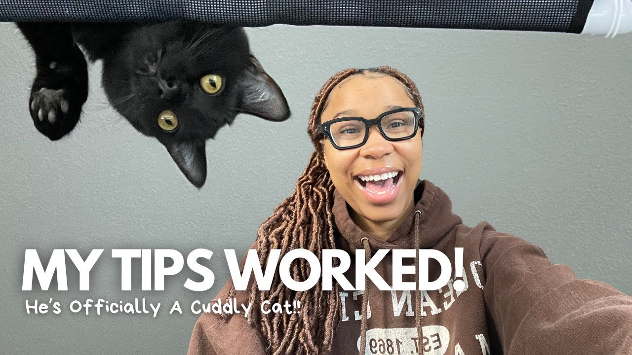 8 Tips for Creating a Cuddly Cat| Rico&rsquo;s 4 Month Update