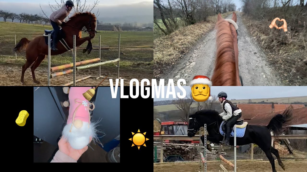 🧹VLOGMAS🎅 #3 (vaření pro master šéfa, vyjížka, první trénink s Jasmi, atd…)