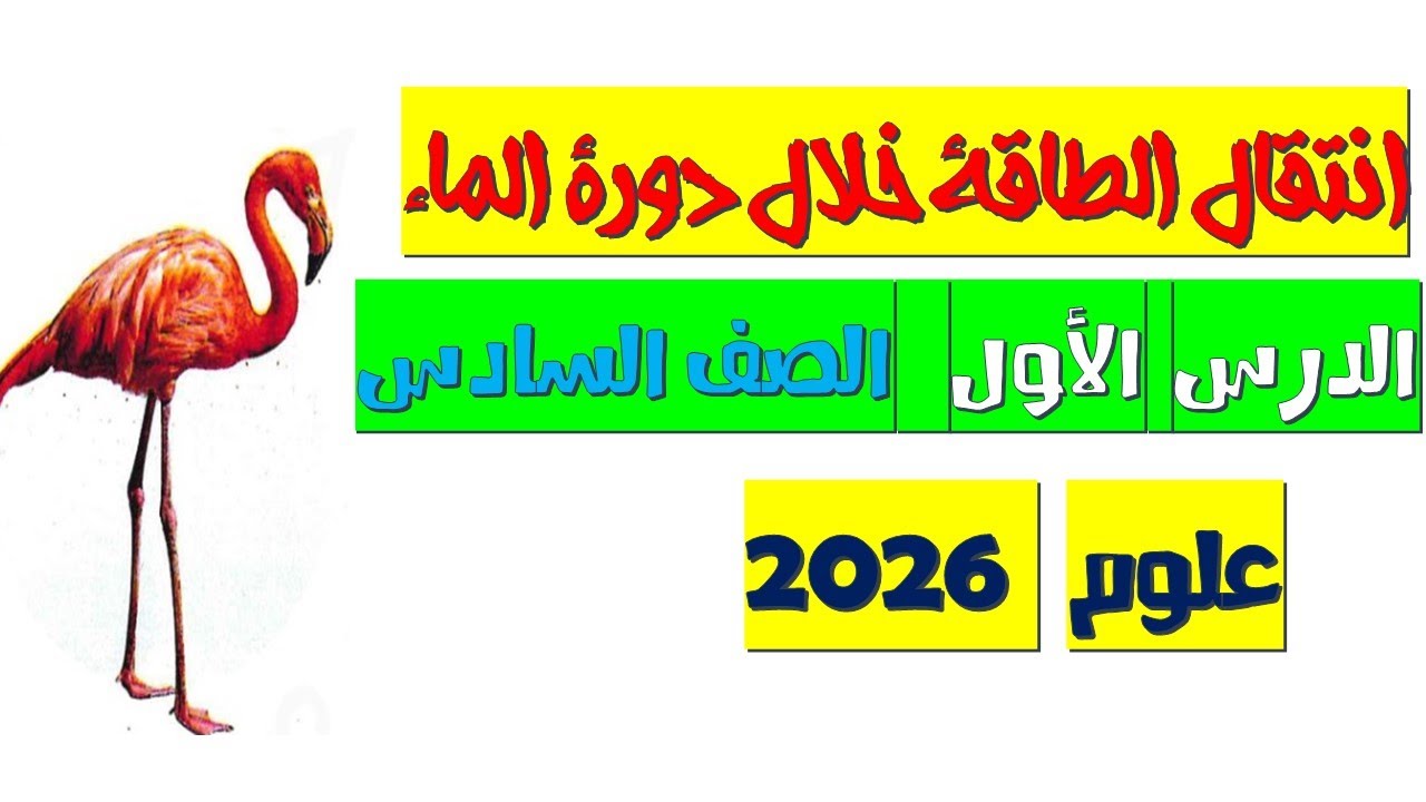 شرح درس انتقال الطاقة خلال دورة الماء | علوم الصف السادس الابتدائي | الترم الثاني 2026