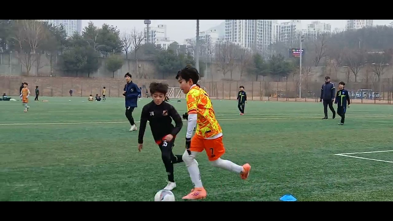 2026년 2월 20일