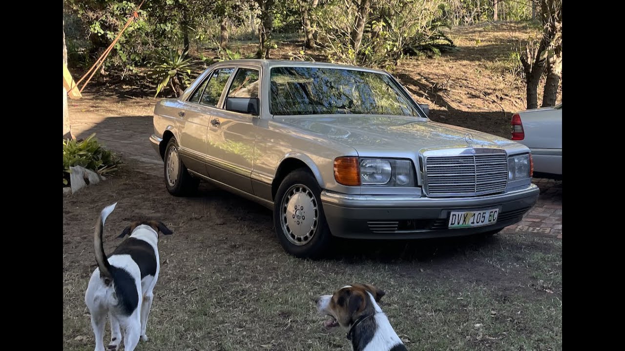 Buyers guide RUST! Mercedes-Benz W126