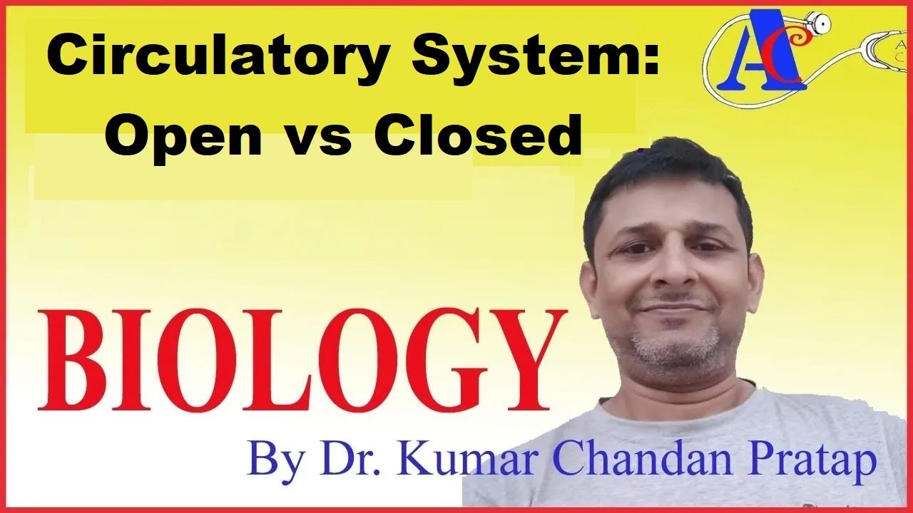 Circulatory System:  Open vs Closed