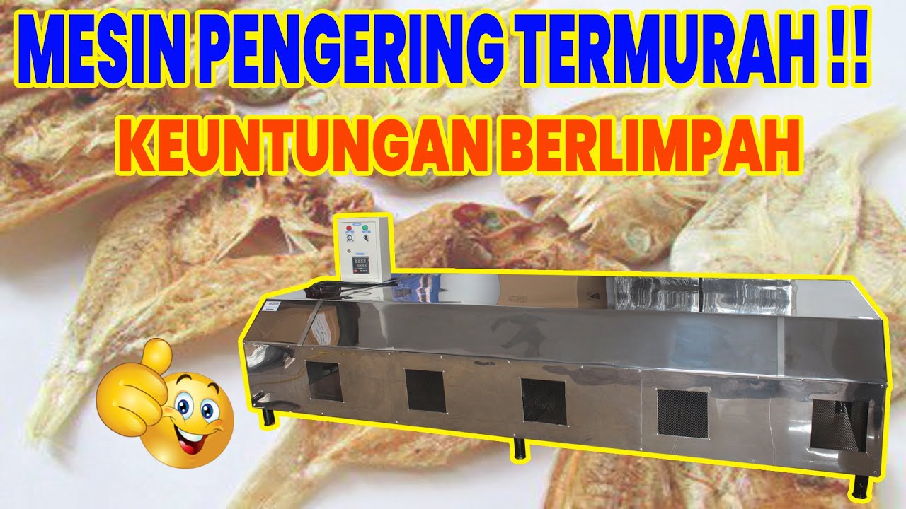 OVEN RUANGAN KAPASITAS BESAR! PENGERING IKAN ASIN JAHE KUNYIT REMPAH BAMBU TUSUK SATE DUPA SUMPIT!